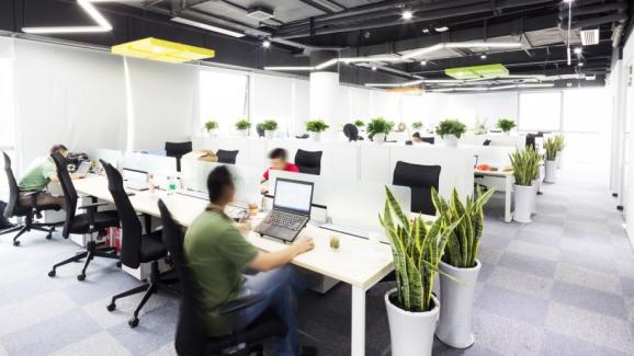 Нова магистратура подготвя специалисти по IT&Outsourcing в Бургас